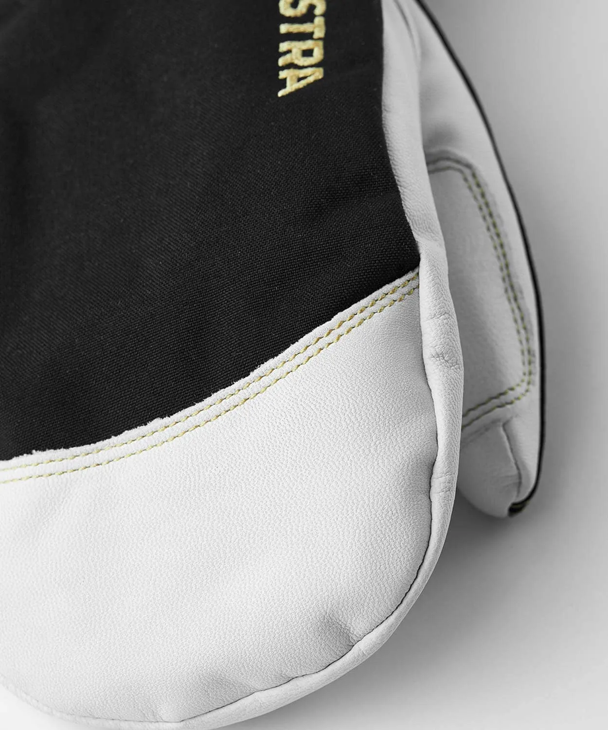 Army Leather Gore-Tex - Mitt
