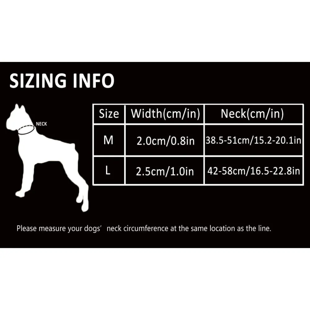 Collar P-chain Outdoor Nylon High Quality Stainless Steel Chain