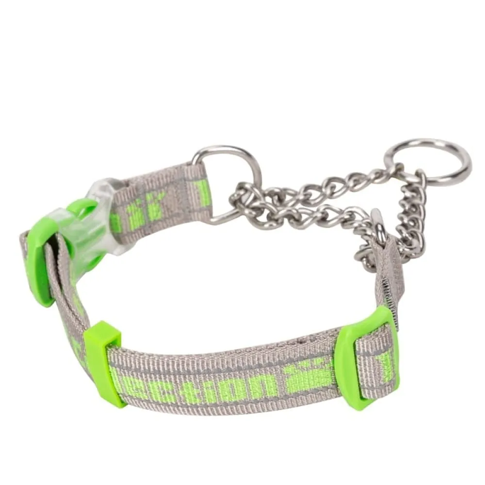 Collar P-chain Outdoor Nylon High Quality Stainless Steel Chain