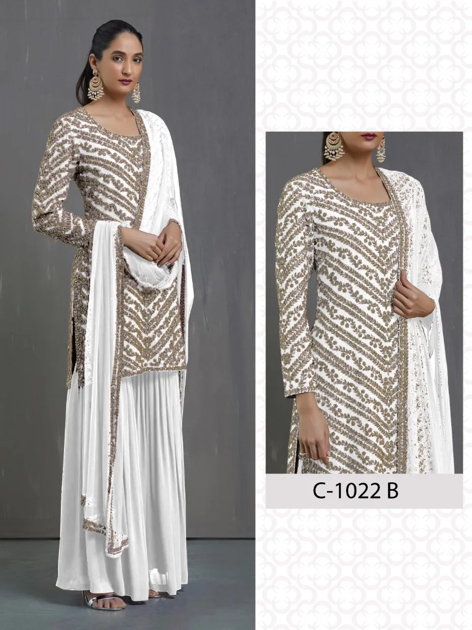 Fepic Rainbow Georgette Pakistani Stylish Collection