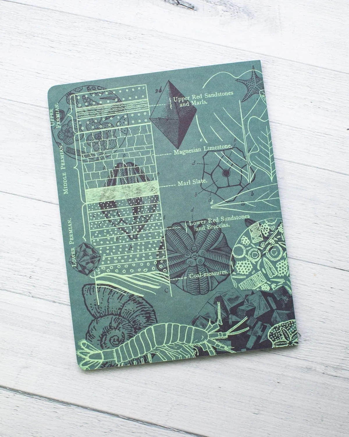 Fossil Softcover Notebook - Lined