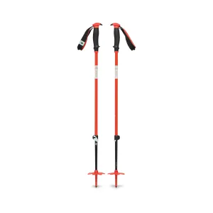 Traverse Ski Poles